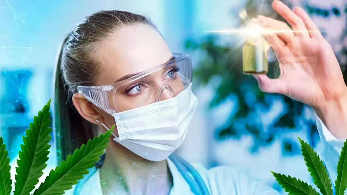 Stay in School: Medical Marijuana Education is on the Rise