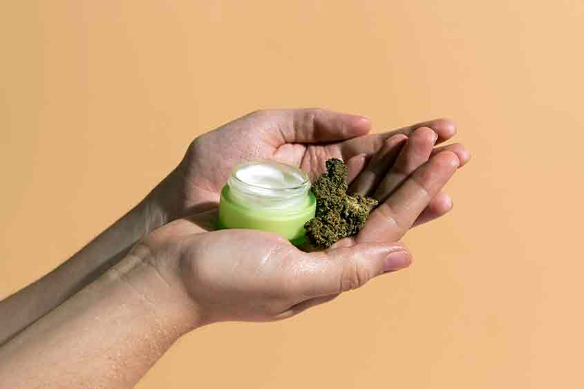 A cannabis cream, CBD based, in the palms of two hands, with marijuana flower.