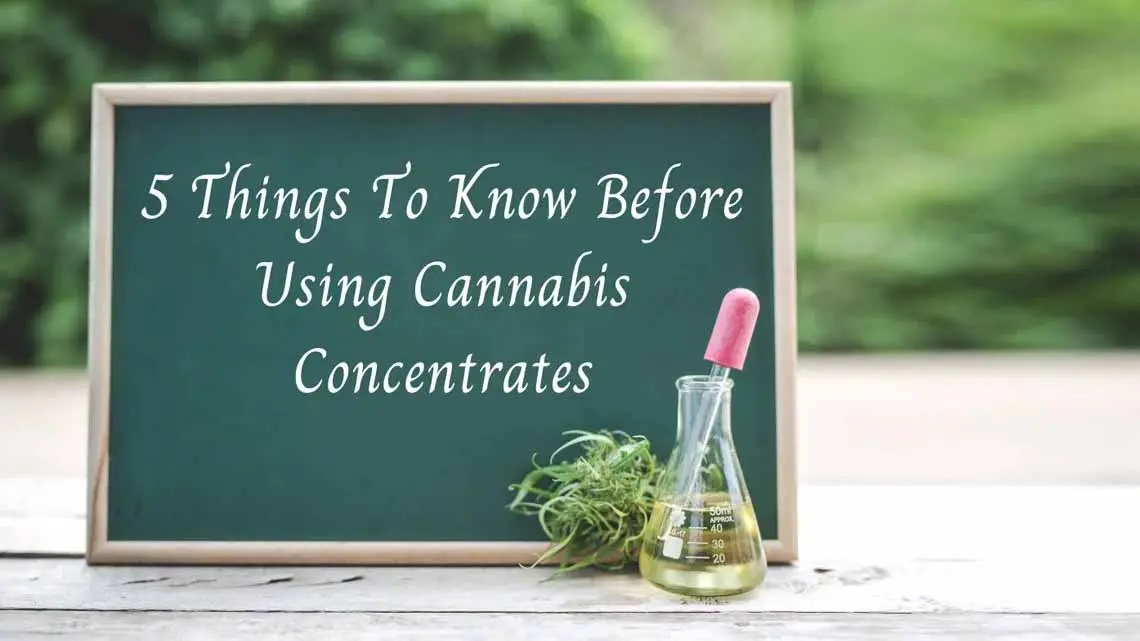 5 Things To Know Before Using Cannabis Concentrates