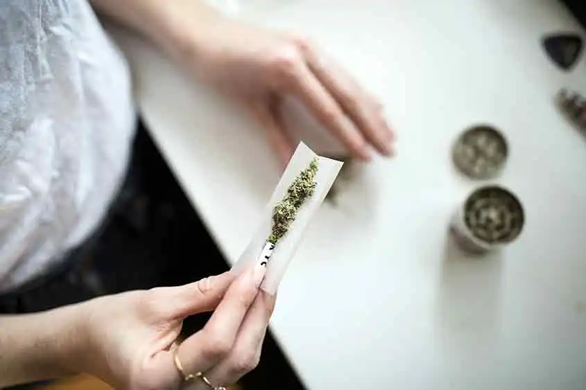 A marijuana joint being rolled