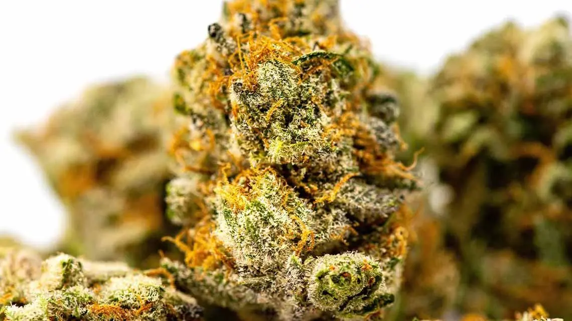 How Do Trichomes Affect Cannabis?