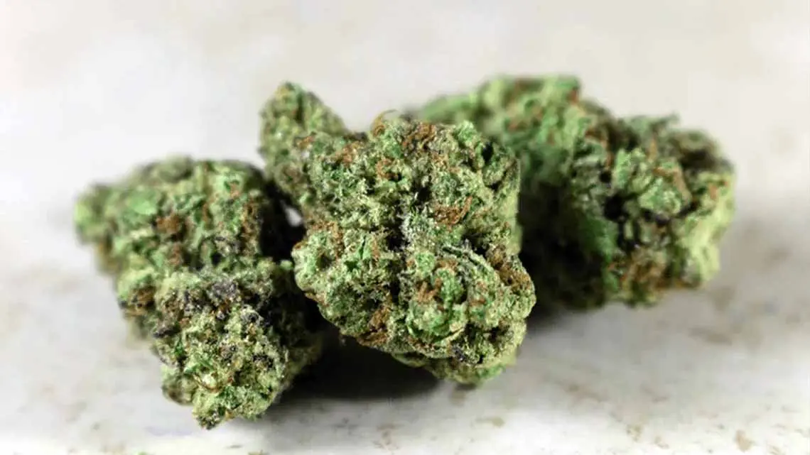 What To Look For Before Purchasing a Medical Marijuana Flower or Bud?