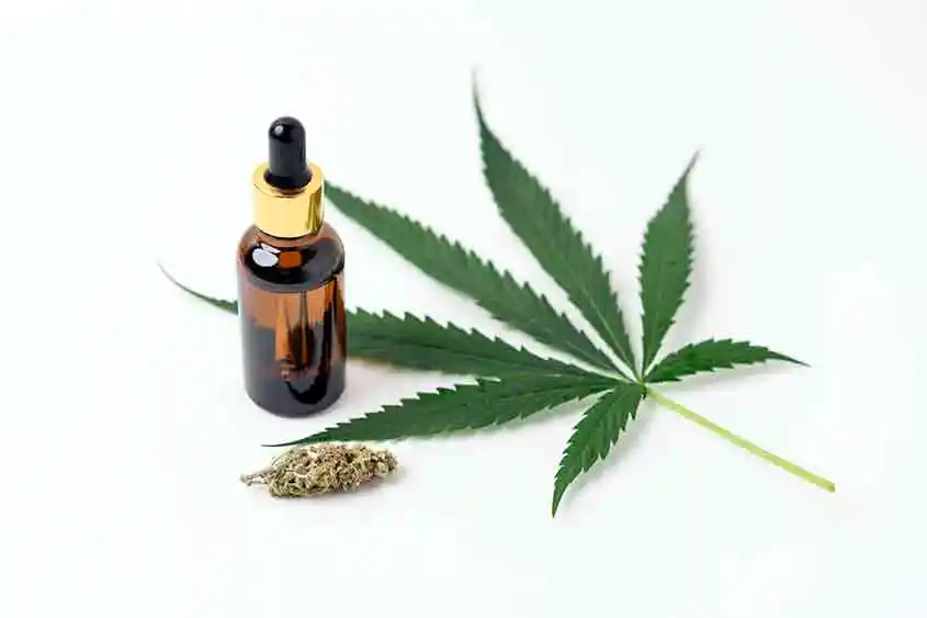 A cannabis leaf, a tincture and dried flower.