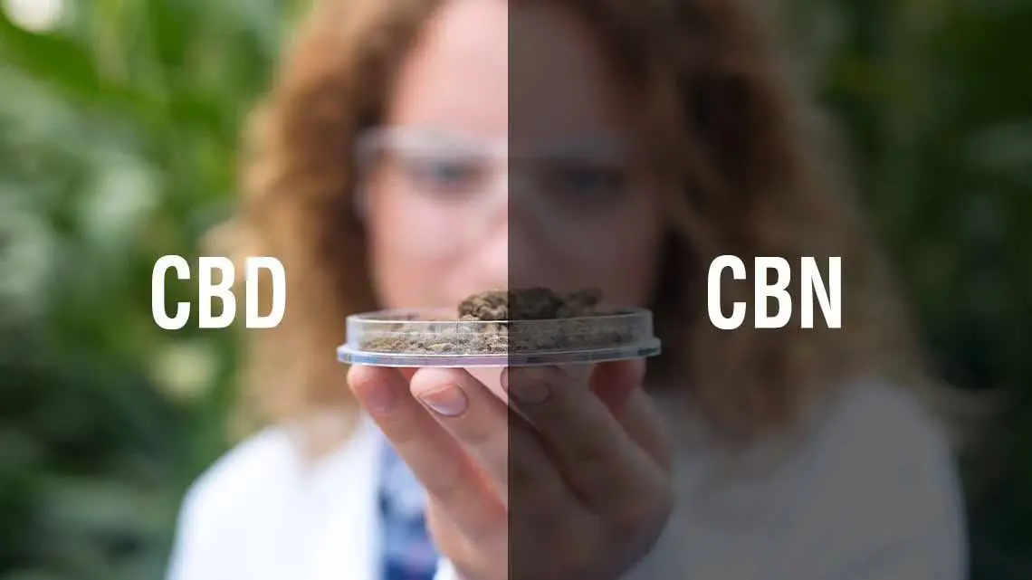 How is CBN Different from CBD?