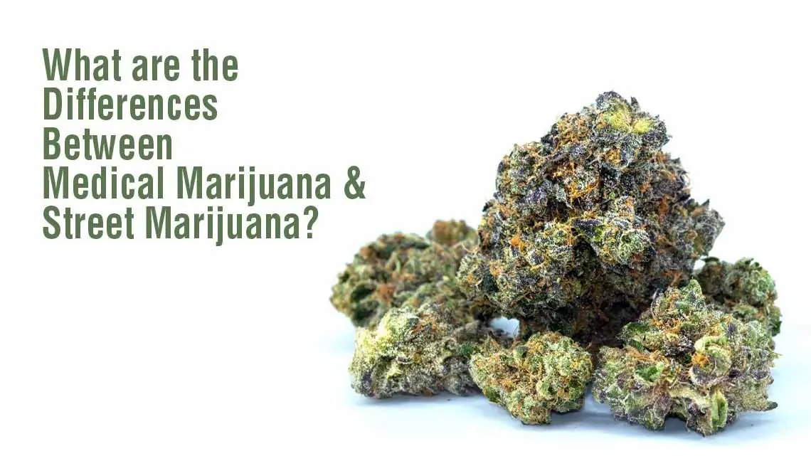 What are the Differences Between Medical Marijuana & Street Marijuana?