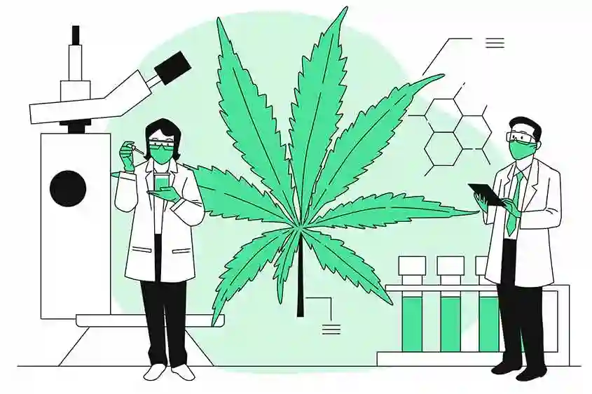 Infographic of a science lag with doctors and tests, and a giant cannabis leaf.