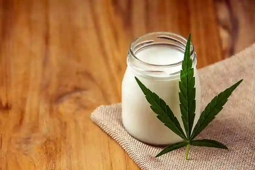 A cannabis cream product and leaf