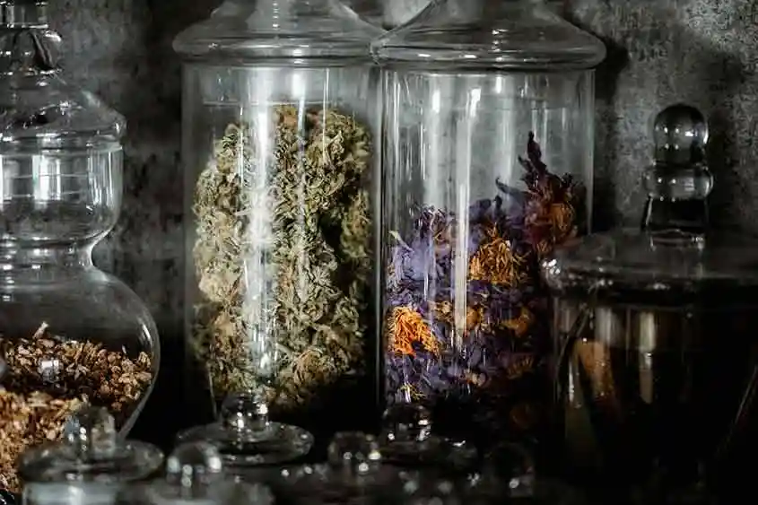 Cannabis stored in jars