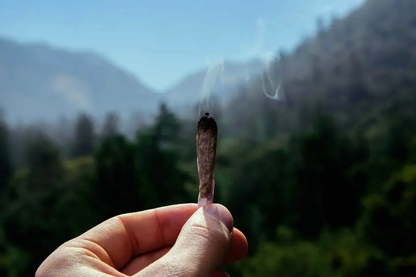 A hand holding a joint up, against a picturesque hilly background