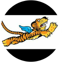 Colonel Flying Tiger