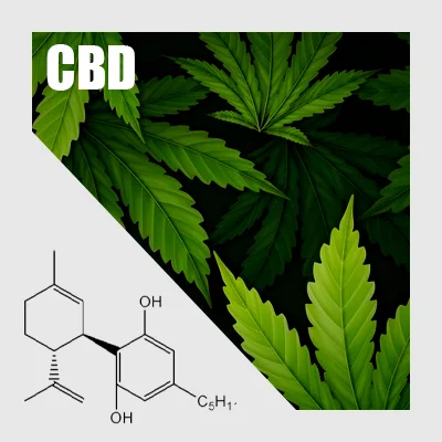 Cannabis leaves, and the molecular structure of CBD