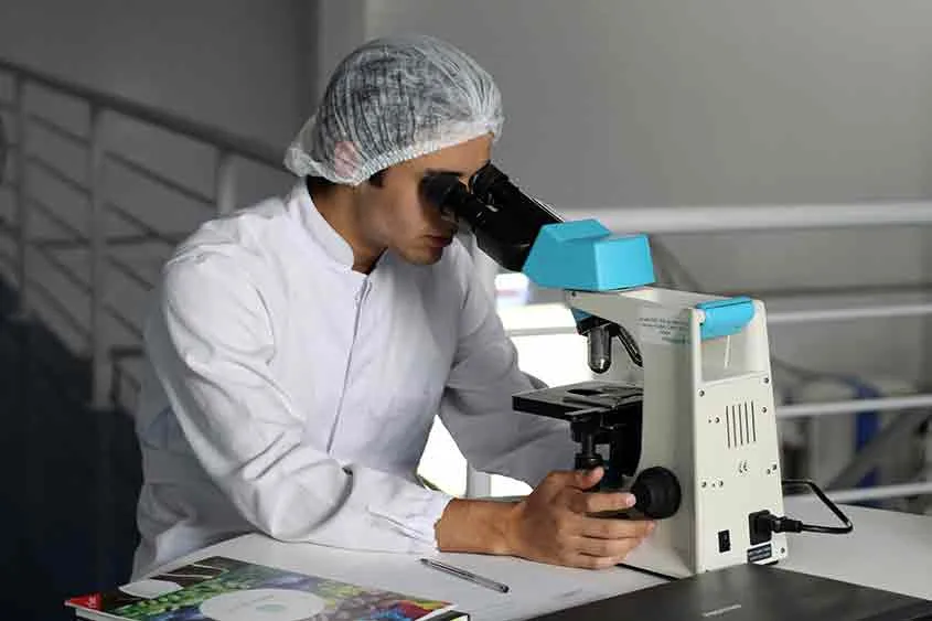 Medical professional looking into a microscope eye piece studying medical marijuana samples.