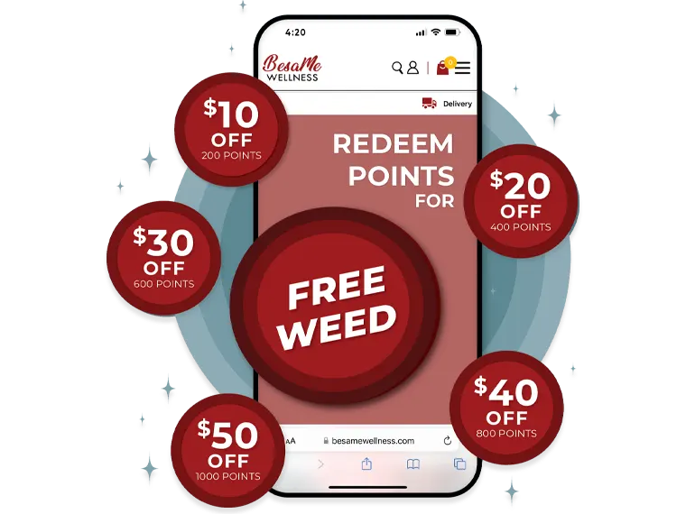 Infographic of a mobile with points and rewards icons and numbers, depicting benefits of the BesaMe Loyalty Rewards Program